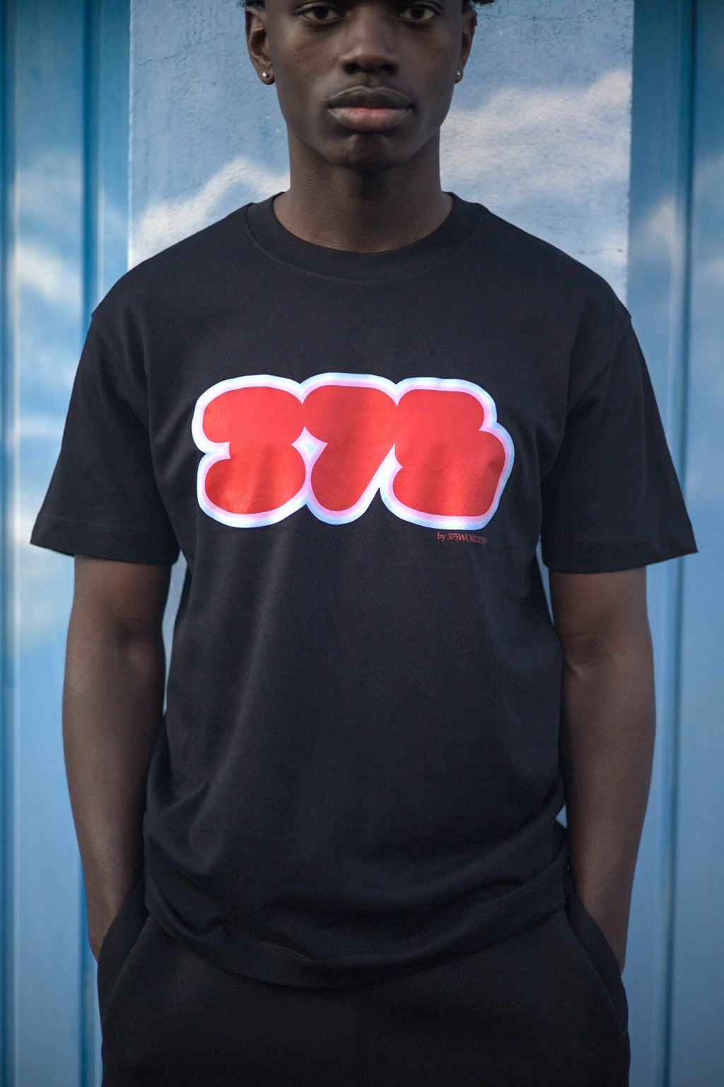 T-SHIRT " SHINE BLUR "