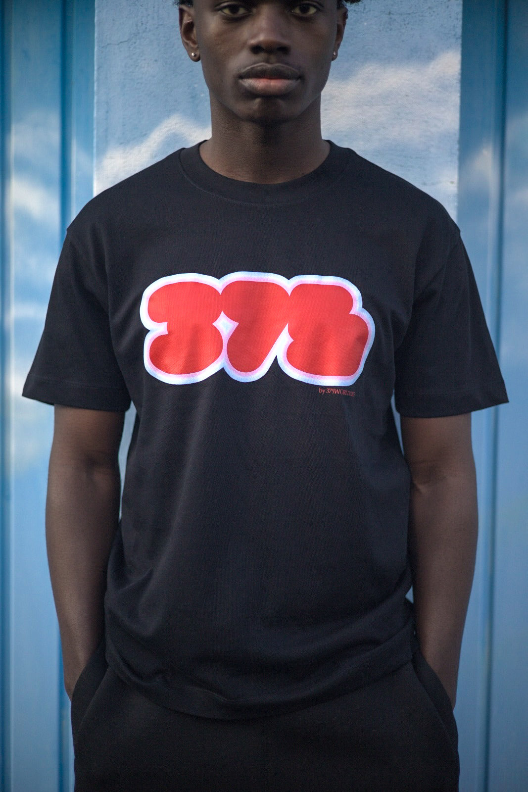 T-SHIRT " SHINE BLUR "