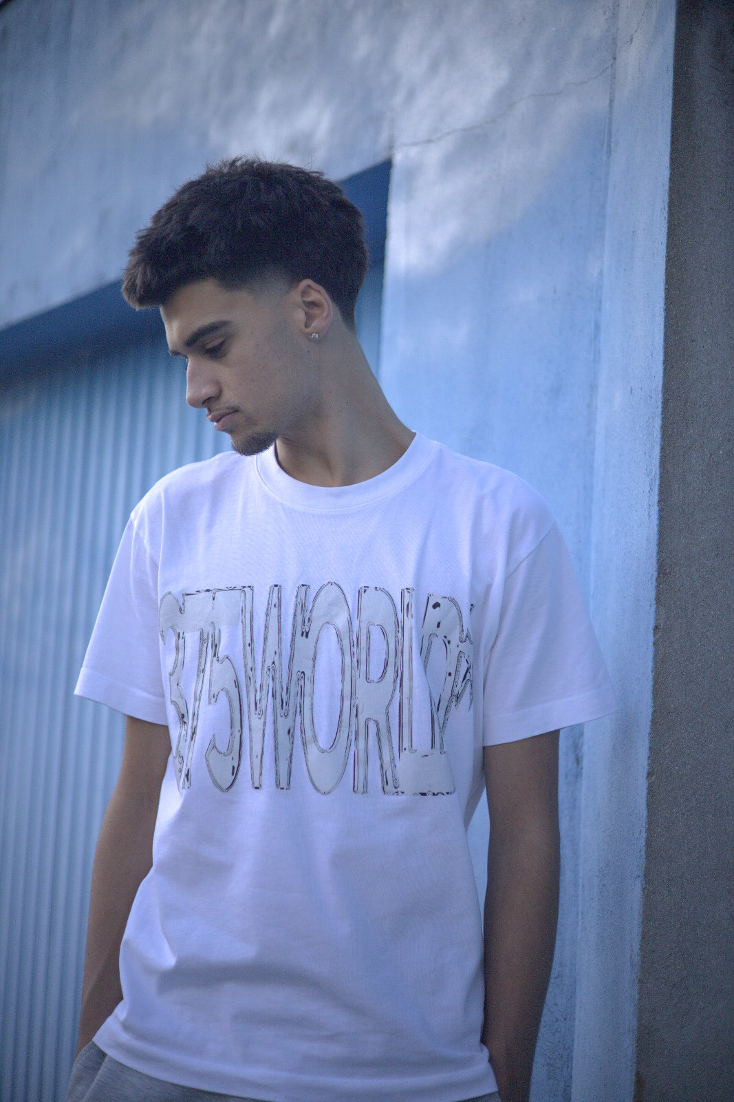 T-SHIRT " CHROME "